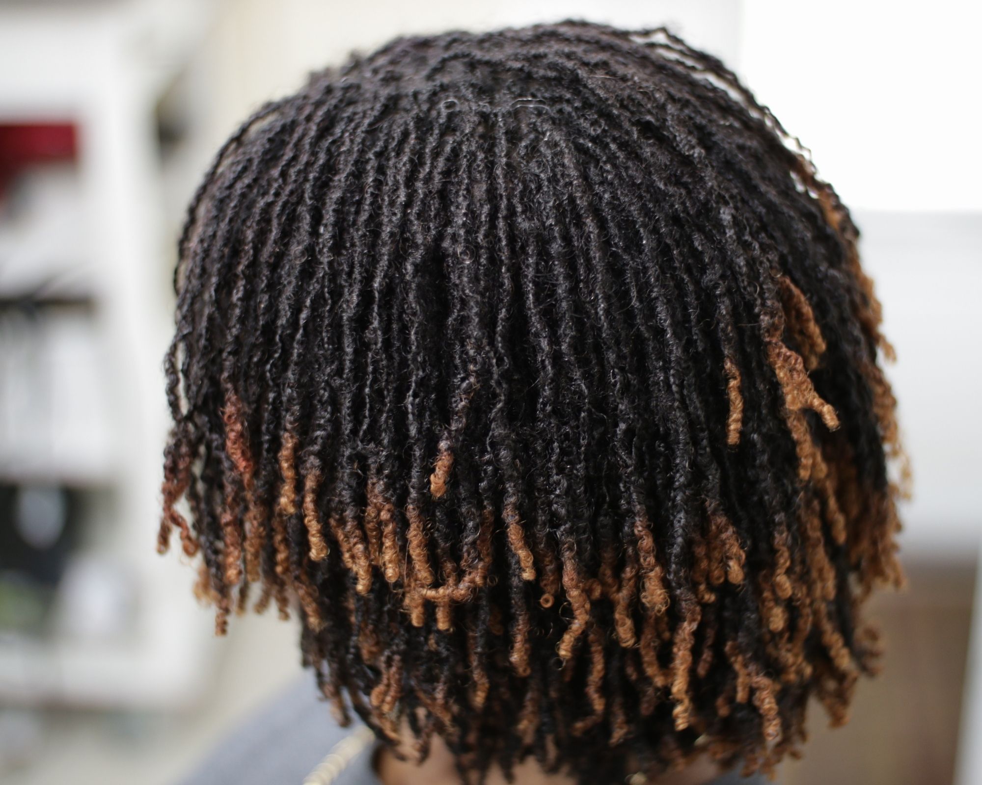  Micro Locs on short hair